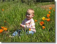 toddler in flowers